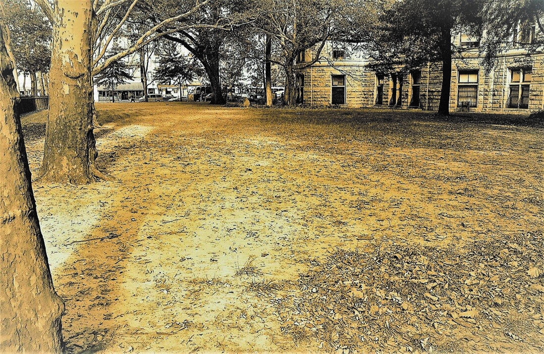 tr park_before.jpg