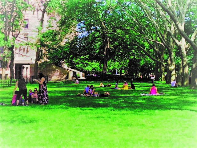 tr park with people.jpg